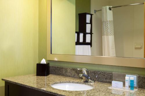 埃尔克顿艾克顿希尔顿恒庭酒店的一间带水槽和大镜子的浴室