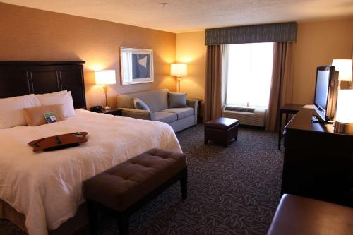 卡尔斯巴德卡尔斯巴德汉普顿套房酒店的酒店客房设有一张大床和一台电视。