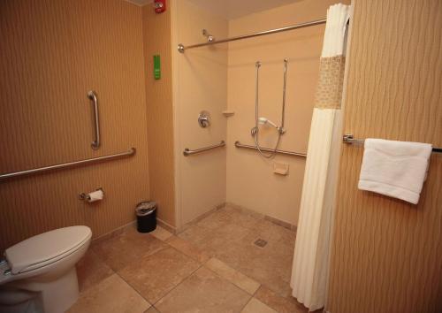 米兰米兰汉普顿旅馆的一间带卫生间和淋浴的浴室