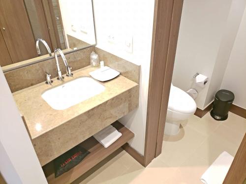 布卡拉曼加希尔顿布卡拉曼加汉普顿酒店的一间带水槽和卫生间的浴室