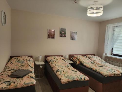 日拉尔杜夫Zestaw rodzinny的一间卧室设有两张床、一张桌子和一个窗口