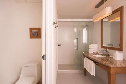 瓜达拉哈拉Hampton by Hilton Guadalajara Expo的浴室配有卫生间、盥洗盆和淋浴。