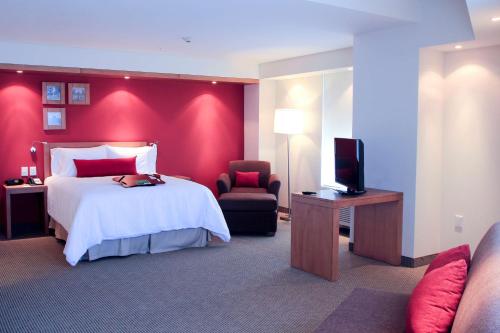 瓜达拉哈拉Hampton by Hilton Guadalajara Expo的配有一张床和一台平面电视的酒店客房