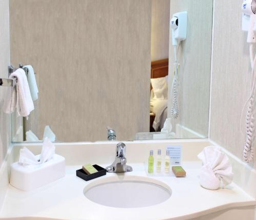 萨尔蒂约希尔顿萨尔蒂约佐娜机场汉普顿酒店的一间带水槽和镜子的浴室