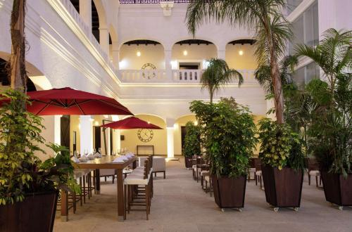 托卢卡Doubletree By Hilton Toluca的一间设有桌椅的餐厅,种植了棕榈树