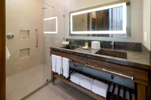 蒙特雷Hilton Garden Inn Monterrey Obispado的一间带水槽和淋浴的浴室