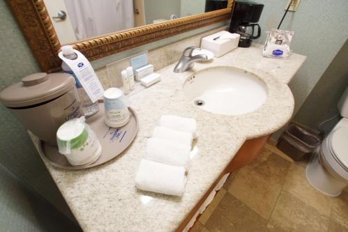 坦皮科坦皮科机场汉普顿酒店的一个带水槽和卫生间的浴室台面