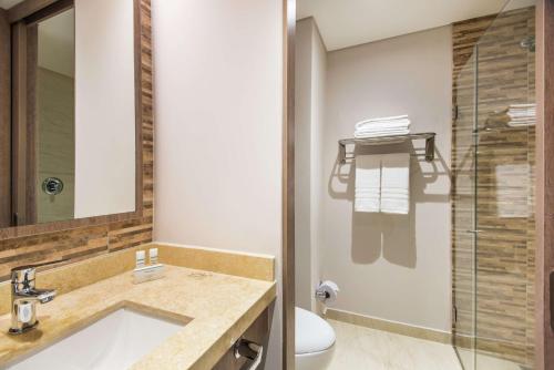 库库塔Hampton By Hilton Cucuta的一间带水槽、卫生间和镜子的浴室