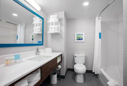 奥兰多博伟湖/奥兰多汉普顿酒店的一间带卫生间、水槽和镜子的浴室