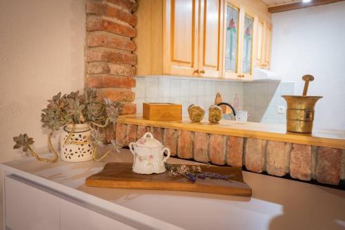奥斯尼卡Studio Apartment Pr' Mirotu的厨房柜台配有茶壶和花瓶