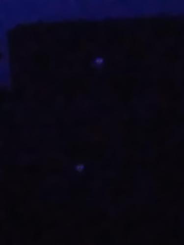 Camp M & M的天空中星星的夜晚照片