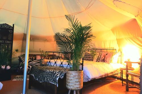 CawstonWild Retreat的帐篷内一间卧室,配有一张床
