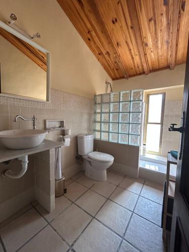 布索特El Raval d'Or, casa de 1900的一间带水槽和卫生间的浴室