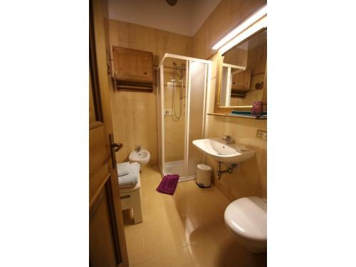 科尔蒂纳丹佩佐Cristallo & Faloria Suite Apartments的一间带水槽、卫生间和淋浴的浴室
