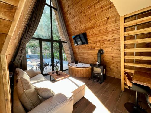 帕弗兰尼Pavliani4rest - Luxury Cabins的带沙发和炉灶的客厅