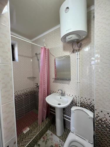 博斯特里Гостевой дом RAZAM的一间带卫生间和水槽的浴室