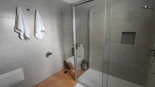 亚伊萨Villa Tingafa的浴室设有玻璃淋浴间和卫生间