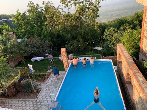 西格纳吉赞达艾什威利旅馆的一群人在游泳池玩耍