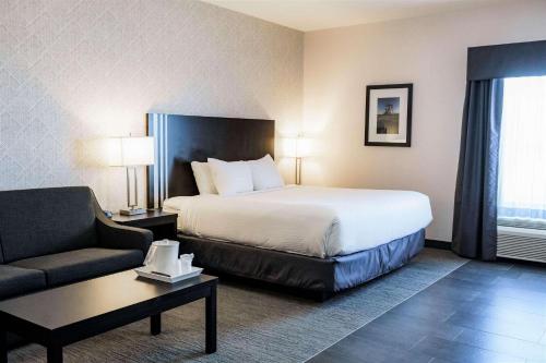 勒杜克Park Inn by Radisson Edmonton Airport的酒店客房,配有床和沙发