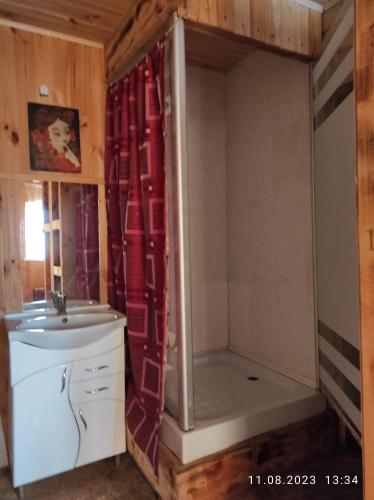 卡缅涅茨-波多利斯基Mini-hotel Kamianets的带淋浴和盥洗盆的小浴室
