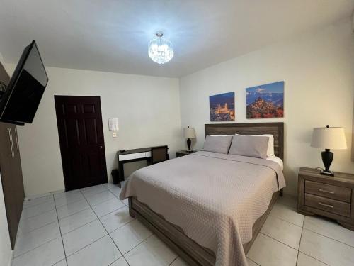 圣萨尔瓦多Hotel Casa Pamplona的一间卧室配有一张床和一台平面电视