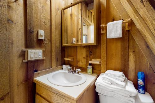 RhododendronHildas Briarwood Escape的一间带水槽和卫生间的浴室