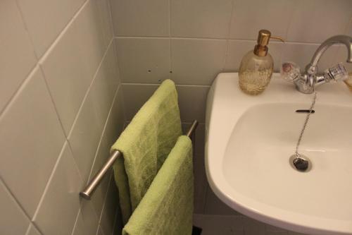LandlTraumLandl的一间带水槽和绿色毛巾的浴室