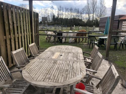 Beerseslapen bij alpacas的田野里木桌子和椅子