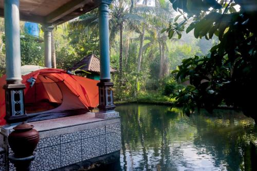 GerungGecko Tropical inn的水体边的帐篷
