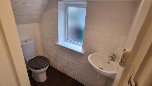 诺丁汉Flat in Nottingham的一间带卫生间、水槽和窗户的浴室