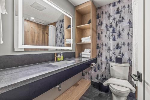 坎莫尔MTN House By Basecamp的一间带水槽和卫生间的浴室