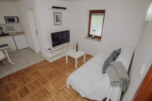 茹帕尼亚Apartments Peric Županja的客厅配有白色沙发和电视