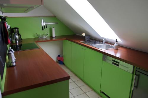 布尔格韦德尔Privatzimmer mit eigenem Bad und Küche的厨房配有绿色橱柜和水槽