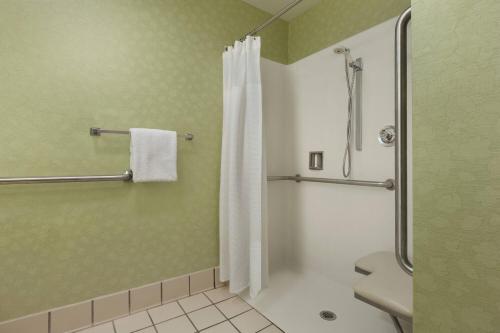 布卡拉顿博卡拉顿春季山丘套房的带淋浴和卫生间的浴室