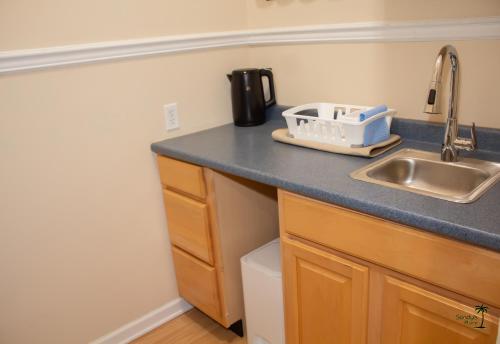 东斯特劳兹堡Sandy's Place的厨房台面设有水槽和水槽