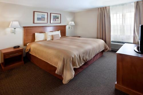 圣安东尼奥安东尼奥西南部烛木套房酒店（近海洋世界）的酒店客房设有一张大床和一台电视。