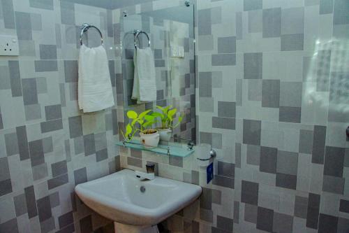 锡吉里亚Sigiri Enaya Cottage的一间带水槽和镜子的浴室
