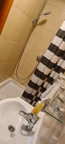 大戈里察斯塔尼奇住宿加早餐旅馆的浴室水槽上方设有水龙头