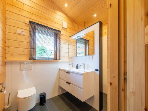 SchinnenCozy holiday home in Limburg with a beautiful view的浴室配有白色水槽和卫生间。