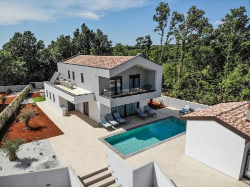 RebićiVilla Istra Relax Diamond的享有带游泳池的房屋的空中景致