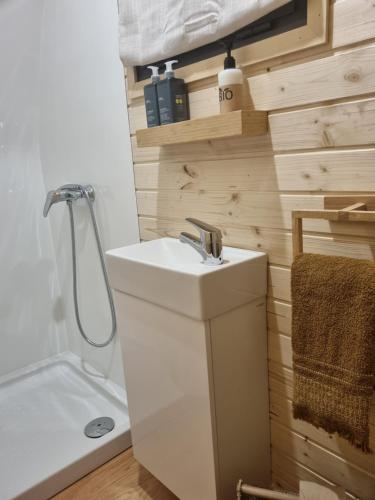 阿尔戈什Villa Das Alfarrobas Eco Design Cabin的浴室配有白色水槽和淋浴。