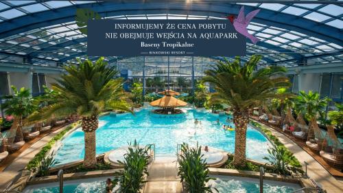 凯尔采宾科文斯基酒店的商场内一座棕榈树大型游泳池