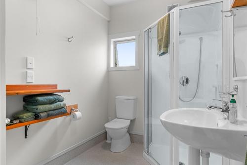 旺阿雷Hatea Drive Accommodation的一间带水槽、卫生间和淋浴的浴室