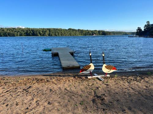 穆塔拉Luxory Vättern Lake Villa的两个火烈鸟站在湖岸边