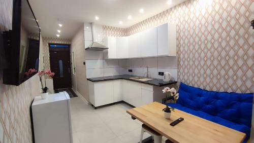 佩霍维采Apartamenty Tuwima的一间厨房,在房间内配有蓝色沙发