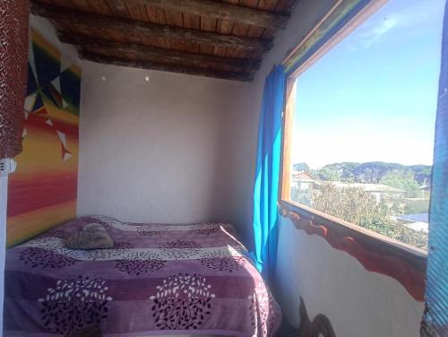 皮里亚波利斯Hostel Morgan的一间卧室设有紫色的床和窗户