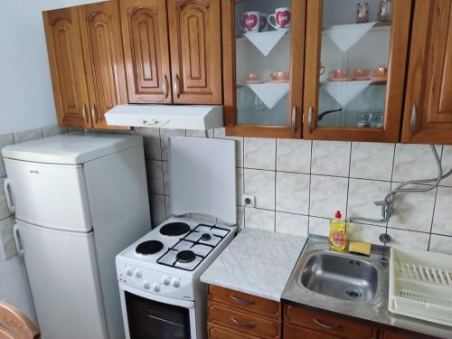 比耶利纳Apartman Novaković的小厨房配有炉灶和冰箱