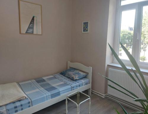 鲁马Apartman Central的一间小卧室,配有床和植物