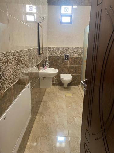 瓦迪穆萨Darkum Apartment的一间带水槽和卫生间的浴室
