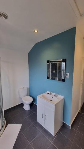 诺丁汉Double Room With Kitchen Facilities的浴室配有卫生间、水槽和蓝色的墙壁。